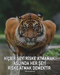 Risk Almaktan Korkma Motivasyon Oneri Farkindalik Kisiselgelisim Pozitifdusunce Basari Ge 2020 Motivasyon Sozleri Motivasyon Pozitif Dusunceler