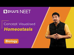 We did not find results for: What Is Homeostasis Meaning Definition And Examples