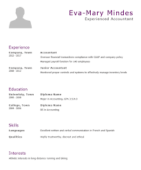 5+ years of experience in presenting. Accountant Cv Template