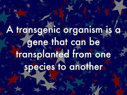 Let's break apart the word: Benefits Of Transgenic Organisms By Manning Webb