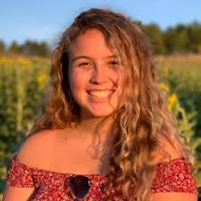 DCC Annual Report 2020