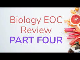 › eoc review packet biology answers. Biology Eoc Practice Test 2019 06 2021