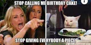 Pin By Kayleen Diane On Smudge Funny Pictures Cat Memes Funny Cat Memes