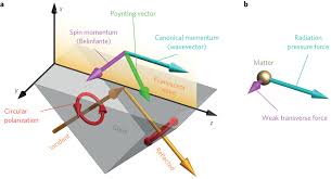 Direct measurements of the extraordinary optical momentum and transverse  spin-dependent force using a nano-cantilever | Nature Physics