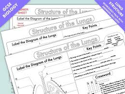 Gcse Biology Lung Structure Worksheet Pack Updated Biology Worksheet Biology Worksheets