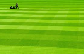 Dec 28, 2020 · so if you like your lawn best when the grass is 5cm tall, you'd have to mow before or when it gets to 6.5cm. How Often Should You Cut Your Grass In Ohio Galena Lawn Care Llc