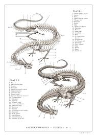 Artwork E B Hudspeth Author Page Eastern Dragon Dragon Anatomy Mythical Creatures Art