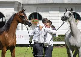POLISH NATIONAL SHOW