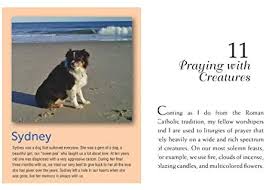 Francis i bring you thanks for (name of pet) who lived among us and gave us freely of his/her love. I Will See You In Heaven Wintz Jack 9781557257321 Amazon Com Books