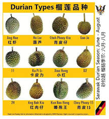 In 2020, the peaks are spread out among different regions. Sarawak Durian Just Another Wordpress Site