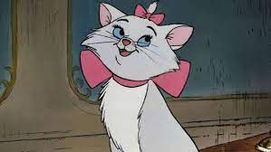 You could name your cat after a cat from disney or name it after the main character of one of those movies because all those names can fit in the following list, we are providing you with the best 50 cat names of famous disney cats, as long you are naming a cat those names of popular cat characters. Name That Disney Cat Disney Cat Names Disney Quiz Disney Cats