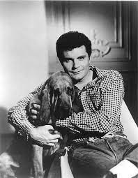 Portrayed jethro bodine, the nephew of jed clampett on the beverly hillbillies. Max Baer Jr As Jethro Clampett I Like Men Who Like Dogs The Beverly Hillbillies Jethro Max Baer Jr