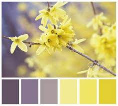Bright yellow and grey ombre curtains 2 panels rod pocket gradient rainbow pattern faux linen semi sheer curtains for bedroom living room kitchen decor 52 x 63 inch length light gray charcoal shades. Different Color Scheme For Bedroom Yellow Gray Purple Purple Color Schemes Yellow Bedroom Grey Color Scheme