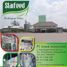 Sinar indochem → (c10) pt. Starfeed Home Facebook