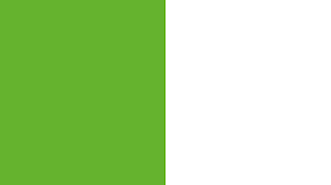 The premium brands bentley, bugatti, ducati, lamborghini and porsche; Vfl Wolfsburg Logo Color Scheme Brand And Logo Schemecolor Com