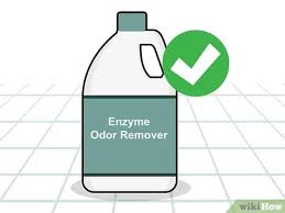 İlk olarak kabaran duvar bir eşya yardımıyla tamamen kazınmalıdır. Kuf Kokusu Giysilerden Nasil Cikarilir Wikihow
