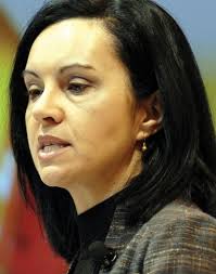 Flint tells eco-town critics: 'There is no done deal here'