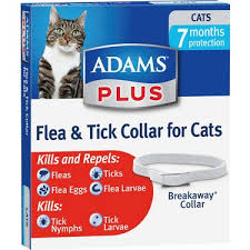Adams Kedi Pire Kene Ve Dis Parazit Tasmasi Fiyati