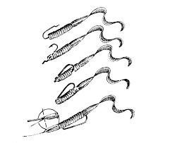 It's also a great option for targeted fishing of isolated cover such as timber. Set Up A Texas Rig For Worms And Soft Plastic Lures