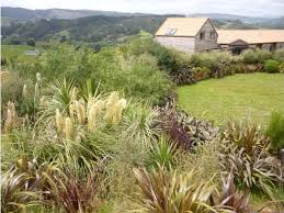 Landscape Design Wellington Garden Ideas Nz Kapiti Low Maintenance Garden Plants Landscape Design Garden Ideas Nz