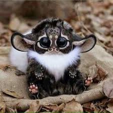 Madagascar Southeastern Africa Monkey Its A Real Live Furby Cute Baby Animals Cute Animals Baby Animals