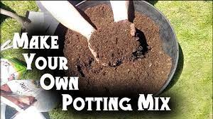 Mix these together in 3 equal parts to make the soil mix. Diy Potting Soil Mix For A Fraction Of The Cost Youtube