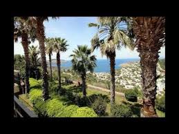 Vadi buthan acve hurması ve birçok hurma çeşitleri ile sizlerle. Ave Maria Schubert Michael Lucarelli Classical Guitar Youtube