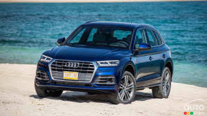 Image result for Azorean Green 2018 Q5