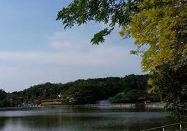 Kebiasan mereka yang menyewa rumah2 di shah alam disebabkan hari graduasi anak di universiti2 berdekatan (uitm, unisel, msu, ptptl) , kenduri kahwin, latihan. Butik Di Shah Alam Seksyen 7 Bertanya K