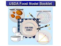 Nhanes Measuring Guides 2002 Food Model Booklet
