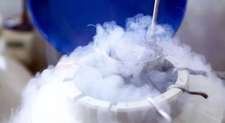 Best Egg Freezing Centre in India