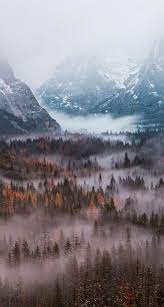 We've gathered more than 5 million images uploaded by our users and sorted them by the most popular ones. Yosemite National Park Iphone 547x1024 Wallpaper Teahub Io