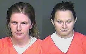 Woman accused of stealing dogs in Adams County cuts deal with prosecutors