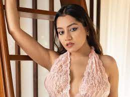 Simran Kaur crossed all limits, wearing a transparent bik*ini saved her  respect from the pillow, bo*ld video went viral - informalnewz