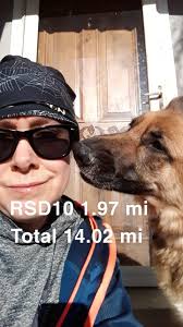 Dog's morning routine with owner, sharing a pillow