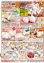 2022夏秋 チラシ 2ページ