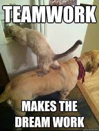 Paws And Possibilities Llc I Have The Best Team Ever And I Appreciate You For All You Do Thanks Lauren Dobelbower Kara Shetrone Maria Waterhouse Shelly Ford Aleigh Consoli Adam Dobelbower
