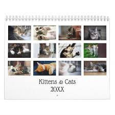 Create Your Own Cute Cats Kittens 2021 Pet Photo Calendar Zazzle Com Cats And Kittens Cute Cats Cute Cats And Kittens