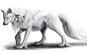 Unduh gambar gambar gratis yang menakjubkan tentang gambar kartun. Hd Wallpaper Painting Of Wolf White Feathers Mammal Animal Animal Themes Wallpaper Flare