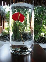 A Modern Simple Way To Display An Anthurium Flower Attach Stem To A Rock To Keep It Submerged In Water Large Flower Arrangements Hotel Flowers Flower Display