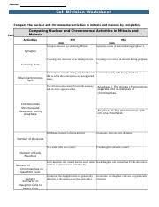 bio 181 cell division lab worksheet docx name cell