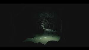 Action, survival horror, adventure, 1st person language: Ebola 2 Torrent Download For Pc