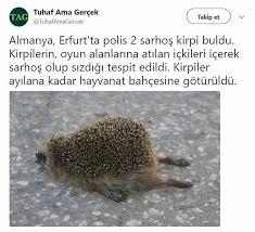 Hic Gormediginiz Komik Resimler Fenakomik Komik Komik Seyler Komik Resimler