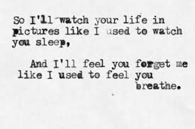 Free Yourself Taylor Lyrics Words Taylor Swift Lyrics