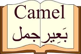 Here are 2 ways to say it. The Topic Camel Mentioned In Quran The Last Dialogue