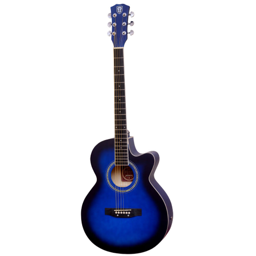 Techno TM- 39 P Acoustic Guitar - Blue product image