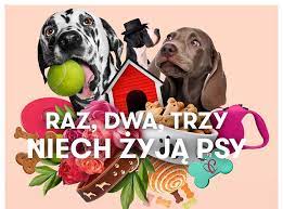 Obchodzony jest co roku 26 sierpnia, na pamiątkę adopcji psa o imieniu sheltie, którego przygarnęła pod swój dach . Miedzynarodowy Dzien Psa W Posnanii Targi Psich Akcesoriow Pokazy Akrobacji I Zbiorka Dla Schroniska