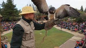 El parque no cierra en caso de. Precios Y Horarios Buin Zoo Inaugura Carnaval De Aventuras Para Vacaciones De Invierno Redes Sociales 24horas