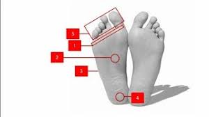 Kedutan pergelangan kaki kanan : 5 Arti Kedutan Telapak Kaki Kanan Menurut Primbon Jawa Youtube