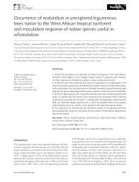 Image result for Vigna mildbraedii